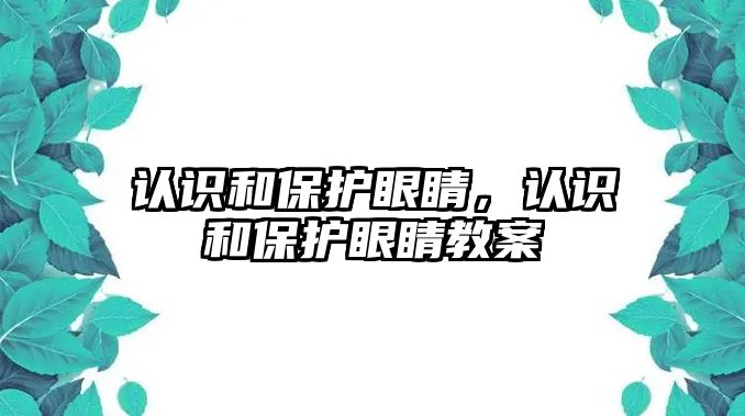 認識和保護眼睛，認識和保護眼睛教案