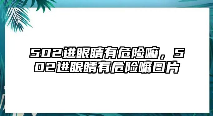 502進(jìn)眼睛有危險(xiǎn)嘛，502進(jìn)眼睛有危險(xiǎn)嘛圖片