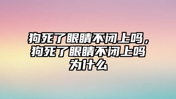 狗死了眼睛不閉上嗎，狗死了眼睛不閉上嗎為什么